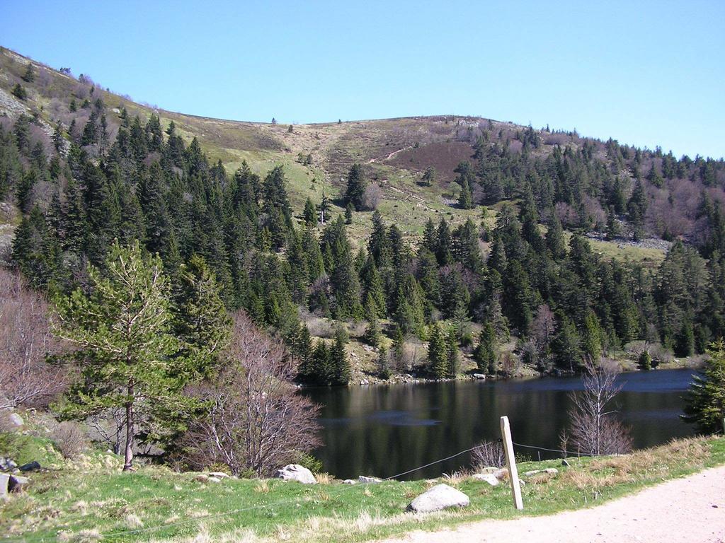 Вілла Les Bouquetins Stosswihr Номер фото