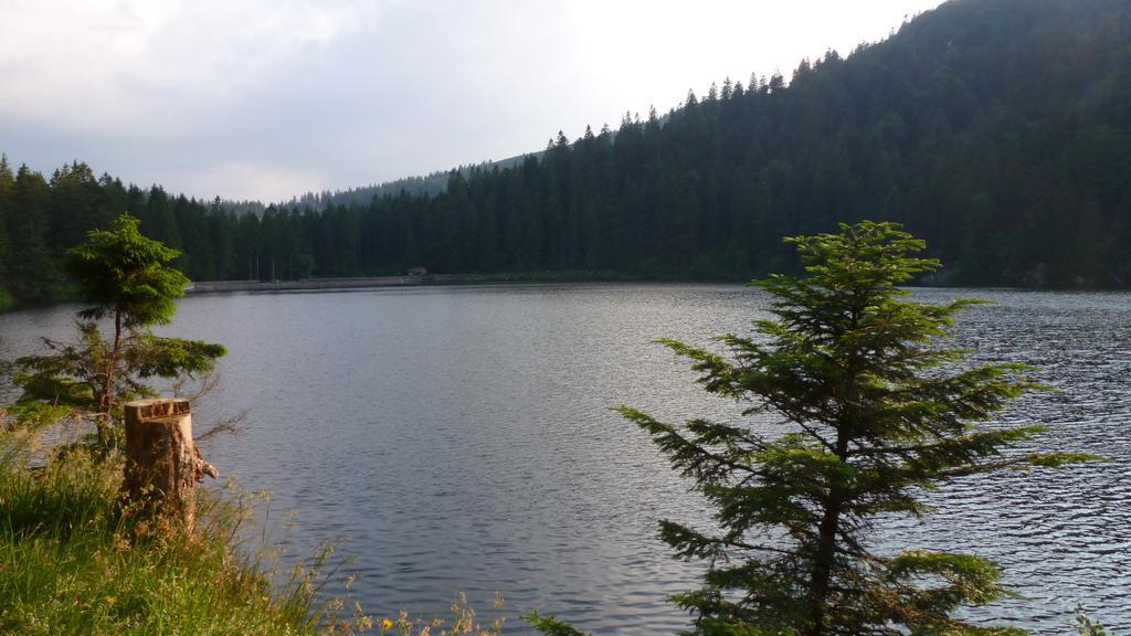 Вілла Les Bouquetins Stosswihr Номер фото