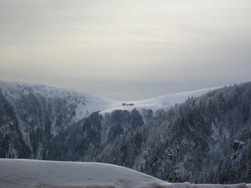 Вілла Les Bouquetins Stosswihr Номер фото